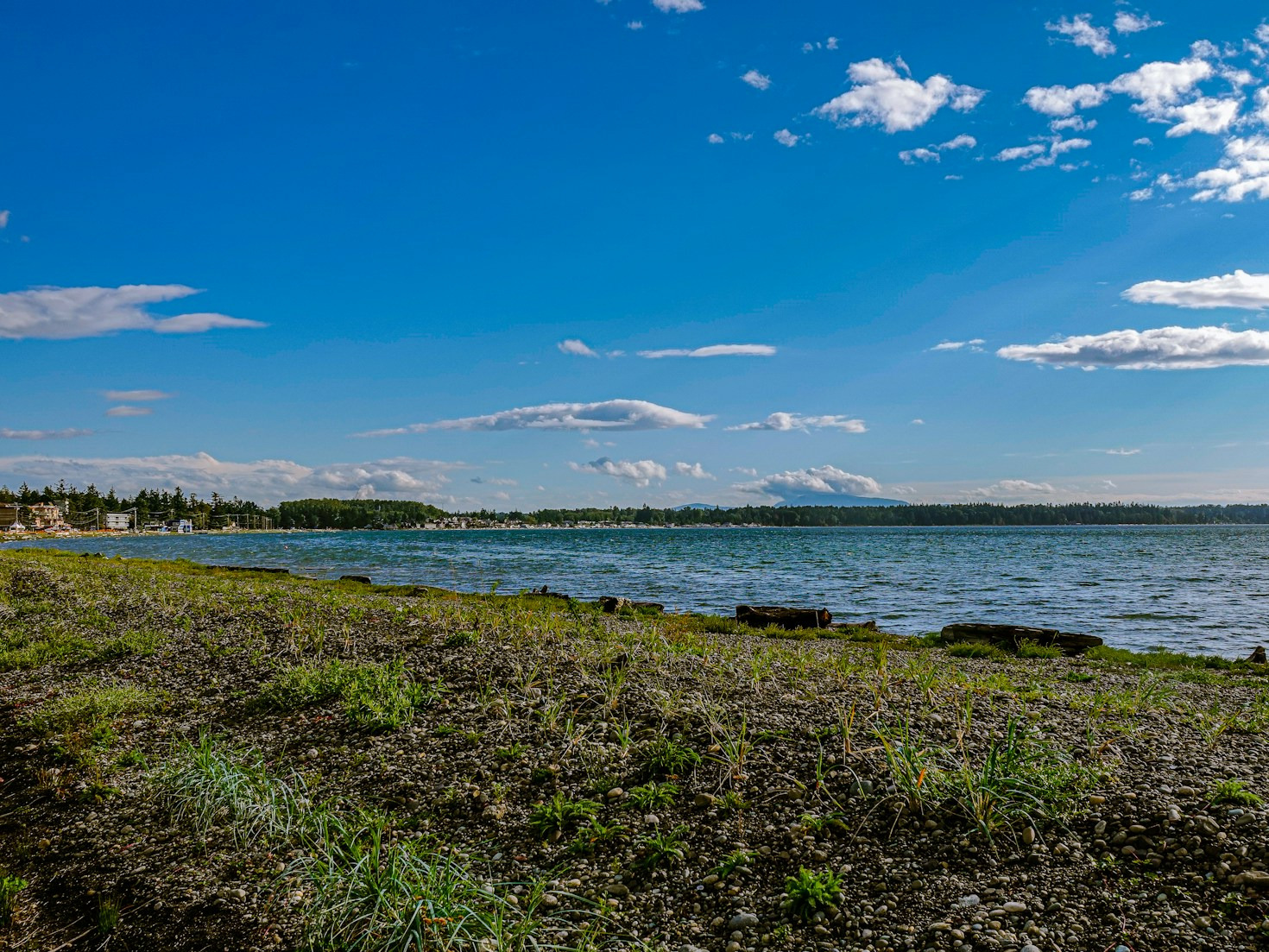 Community Voices: Supporting Birch Bay’s Incorporation